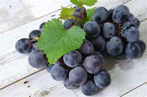 20 Different Types of Grapes to Eat and Make Wine