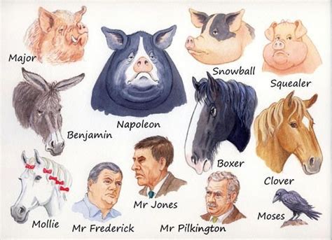 Animal Farm Characters | Animal farm george orwell, Animal farm novel ...