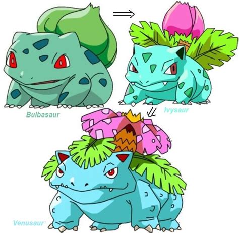 32 best ideas for coloring | Bulbasaur Pokemon Evolution