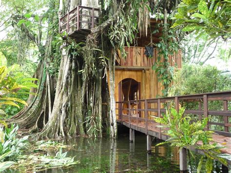 Cool tree houses to stay and eat at in Costa Rica - Tiny Travelogue