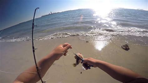 Long Beach Fishing - YouTube