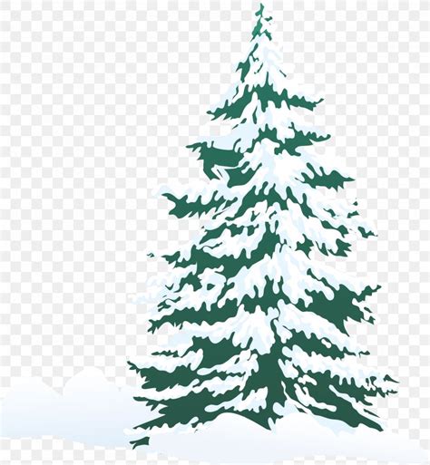 Pine Tree Snow Clip Art, PNG, 3333x3617px, Pine, Branch, Christmas, Christmas Decoration ...