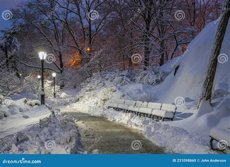 Central Park in Winter Snow Storm Stock Photo - Image of whitesunrise, manhattan: 231098860