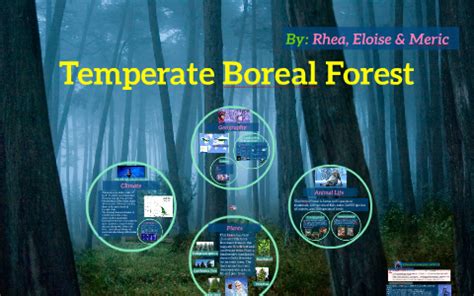 Temperate Boreal forest by Eloise B-J on Prezi