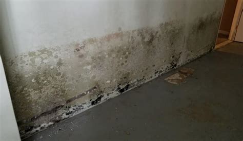 Water Infiltration | Tell-tale Signs & Preventing Your Home from Damages