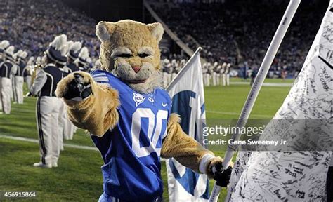 Byu Mascot Cosmo Photos and Premium High Res Pictures - Getty Images