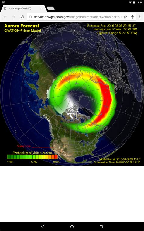 Arctic Aurora! - 365 Days of Birds