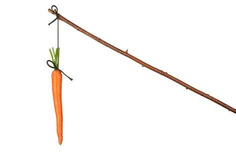 The Carrot and Stick Approach to Health Care Delivery | UPAL | Physicians Financial Service ...