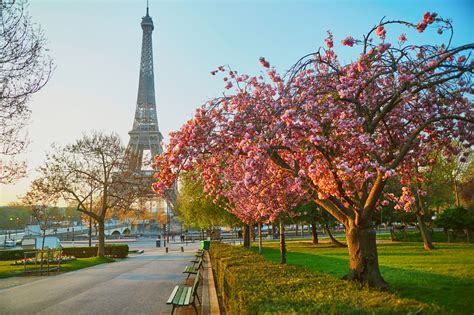 Travel Tips: Paris in March