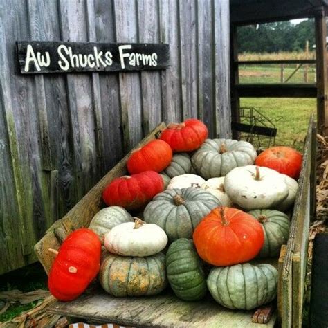 Aw Shucks! Corn Maze & Pumpkin Patch - Monroe, NC - Nextdoor