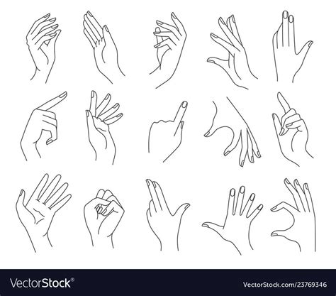 Line woman hands gestures. Women hand shapes vector illustration ...