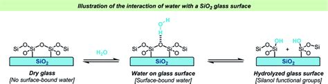 Simplified illustration of the adhesion of water to a glass surface and... | Download Scientific ...