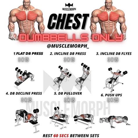 🇺🇲tips.4health’s Instagram photo: “🔥CHEST WORKOUT DUMBBELLS ONLY🔥by ...