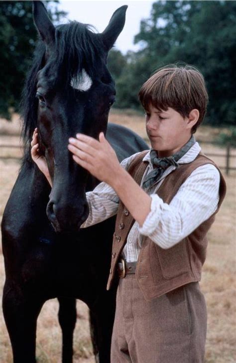 Black Beauty (1994) this movie honestly broke my heart | Horse movies ...