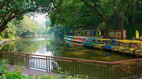 Yuexiu Park Tours - Book Now | Expedia