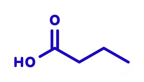 Butyric Acid Short-chain Fatty Acid Molecule Photograph by Molekuul ...