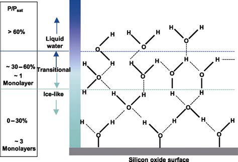 Schematic of structural evolution of adsorbed water layer on... | Download Scientific Diagram