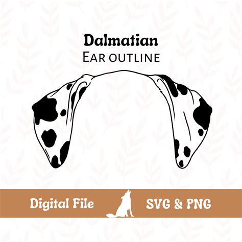 Dalmatian Dog Ear Outline SVG Cut File and PNG File for Cricut - Etsy UK