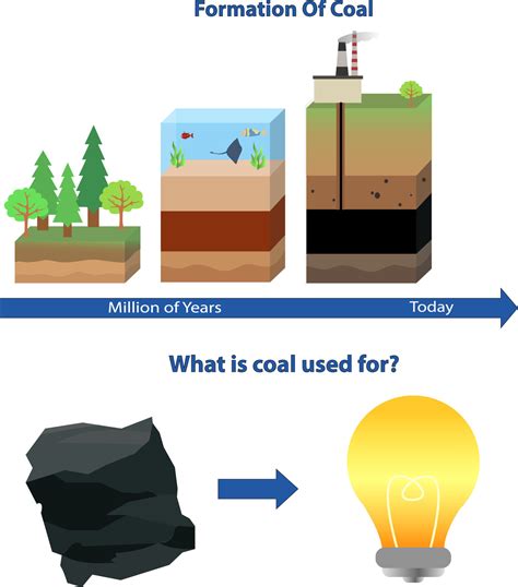 coal formation process, Formation of coal vector illustration, gas and ...