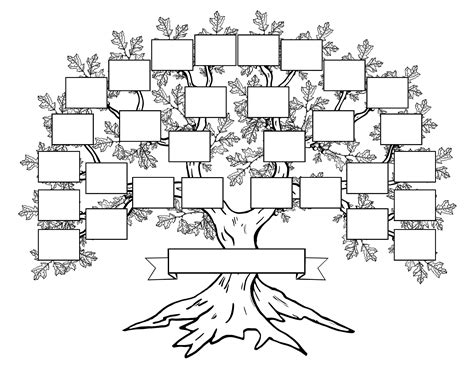 Five Generation Family Tree DIY 16x20 Inch Fillable PDF Template - Etsy | Family tree drawing ...