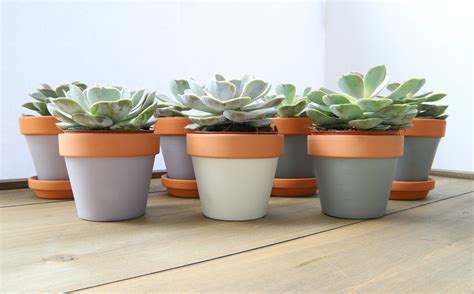 easy DIY painted terra cotta pots - Willow Bloom Home