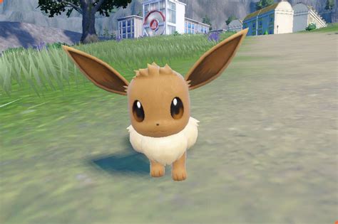 Eevee location in Pokémon Scarlet and Violet: Where to catch Eevee - Polygon