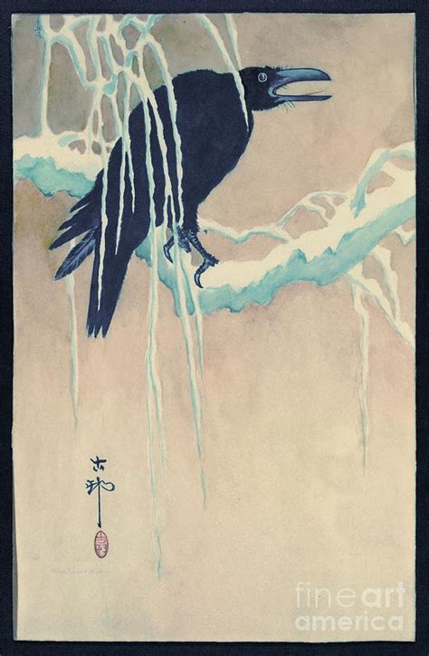 Raven in Snow Photograph by Padre Art | Fine Art America