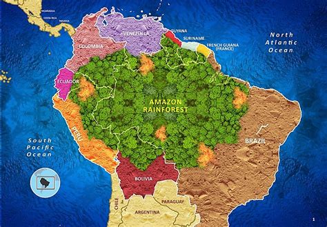 What Is A Rainforest? - WorldAtlas