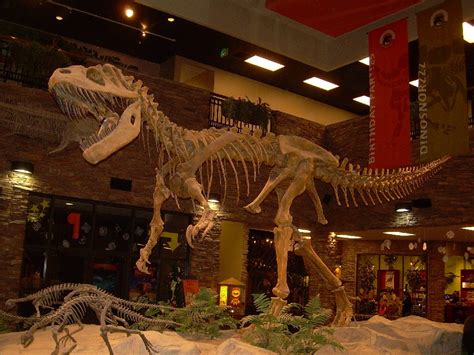 Torvosaurus Pictures & Facts - The Dinosaur Database