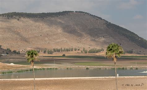 Jenin Map - West Bank - Mapcarta