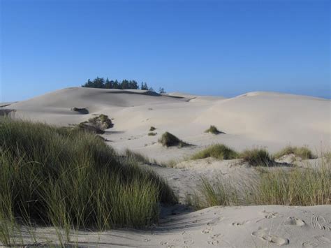 Coastal Dunes – Oregon Conservation Strategy