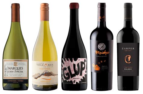 Chile: 15 award-winning wines from the south - Decanter