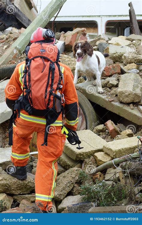 Building Collapse, Structural Damage Tower Block, Flats and Apartments Editorial Photography ...