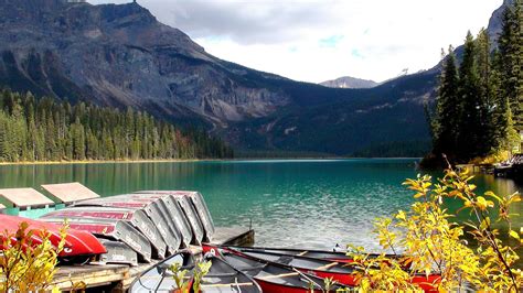 Wood Buffalo National Park Of Canada - Trip to Park