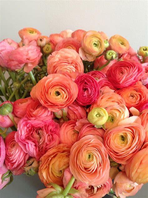 wedding flowers ranunculus orange pink - Google Search #Ranunculus ...