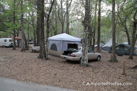 Highlands Hammock - Campsite Photos and Campground Information