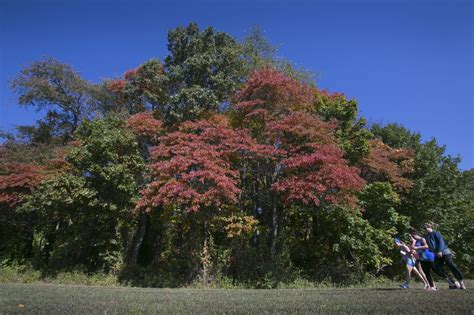 N.J. county plans 2 new parks as part of change to open space funding ...