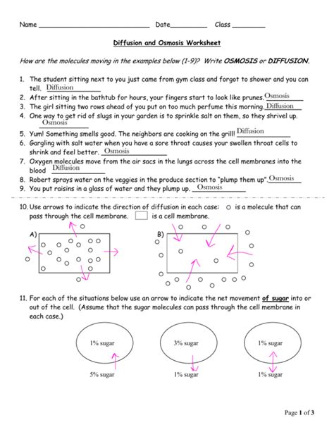 Rachel Hurlbut Sept 3 Bio 10 Diffusion Diffusion Osmosis Osmosis