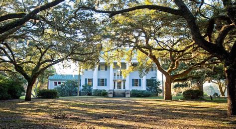 McLeod Plantation - Untold Stories of Charleston's Plantation History ...