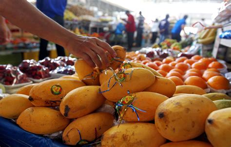 Pakistan’s sweet mangoes to enter China’s big market from June 10 - Daily Times