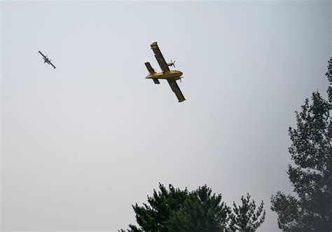 NE Minnesota wildfire could threaten homes as winds shift | The Independent