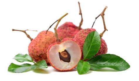 Lychee Season: When Are Lychees Available & How To Eat Them