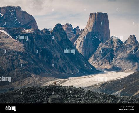 Mount Asgard at Akshayuk Pass, Auyuittuq National Park, Nunavut, Canada ...