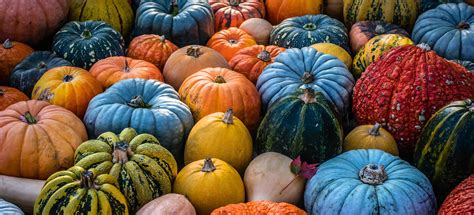 Pumpkins: Many Faced Giants - Falstaff