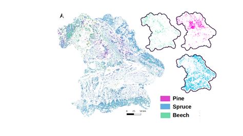 Tree species from space – the ESPE project workshop 2022 - Earth Observation News