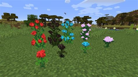 Plants [v1.16.3] Minecraft Mod