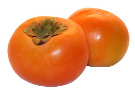 Collection of Persimmon PNG. | PlusPNG