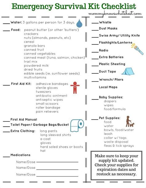 FREE Emergency Survival Kit Checklist Printable | Emergency survival kit, Survival kit ...