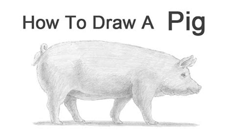 Realistic Drawings Of Animals Easy : The big book of realistic drawing secrets: