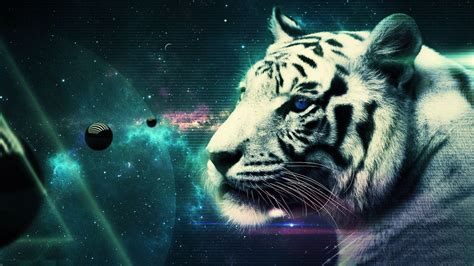 White Tiger HD Wallpapers - Wallpaper Cave